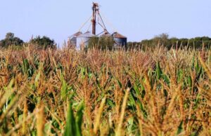 Entidades rurales analizarán durante esta jornada la continuidad del lockout