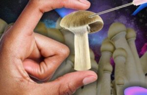 Se inyectó un té de hongos alucinógenos por depresión y le terminaron creciendo en todo el cuerpo