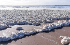 Mar del Plata: las playas amanecieron repletas de espuma