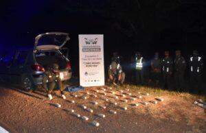 Concejal macrista detenido con 30 kilos de marihuana