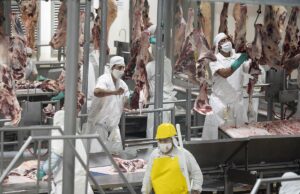 Denuncia millonaria por evasión contra 19 frigoríficos exportadores