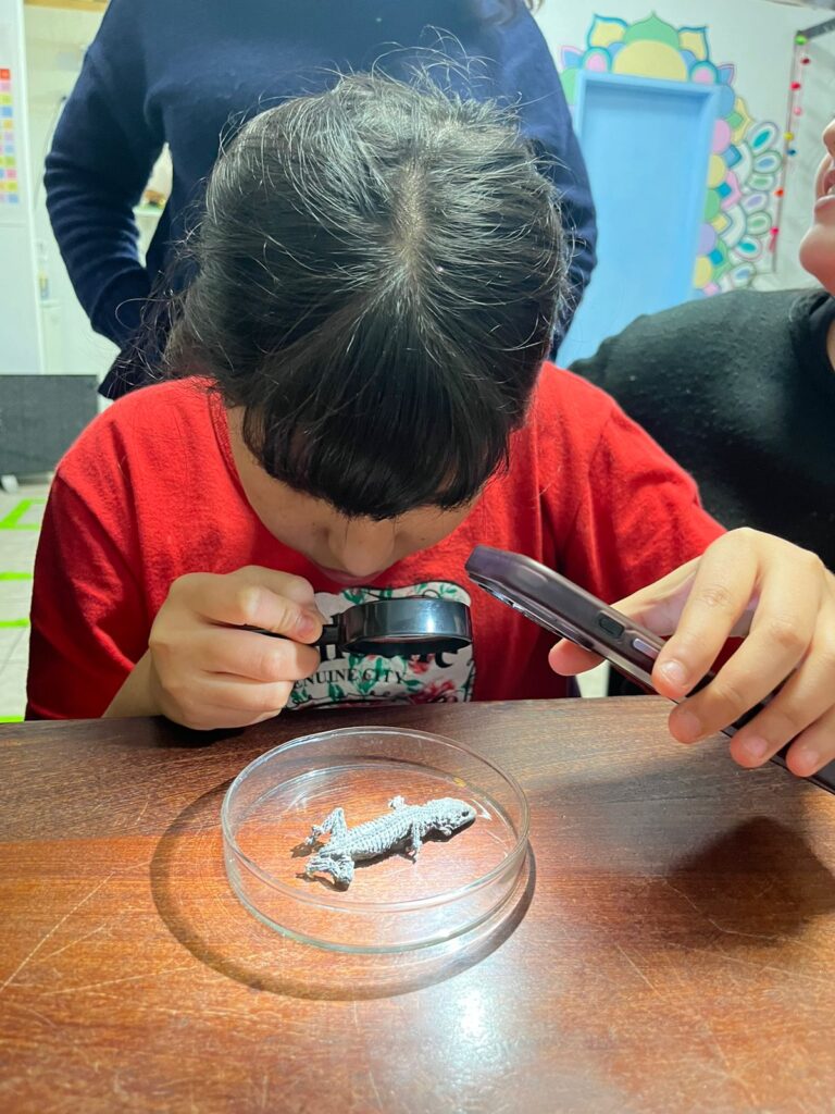 Taller de ciencia "Observar lo pequeño"
