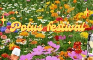 POTUS FESTIVAL