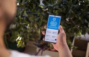 ANSES: cronograma de pagos para este martes 2 de diciembre