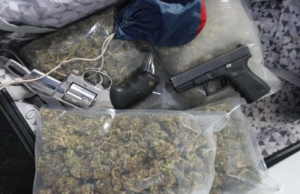 Secuestraron 9,7 kilos de drogas en San Martín de los Andes