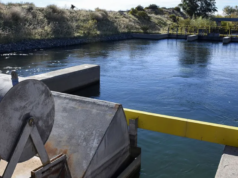 Se adjudicó la obra del sedimentador de arena en Picún Leufú