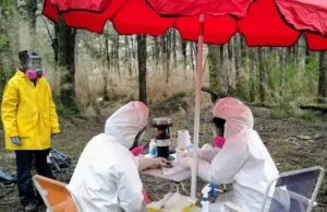 Hantavirus: más de 20 años de investigación, monitoreo y prevención