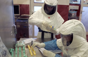 Especialistas del Malbrán recorren Ushuaia para detectar una posible circulación de hantavirus