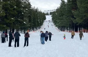 El Parque Recreativo El Llano vivió una jornada inolvidable a pura nieve y diversión