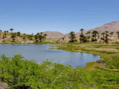 Laguna Escondida: un secreto entre la nieve y los pehuenes de Caviahue