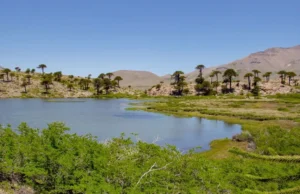 Laguna Escondida: un secreto entre la nieve y los pehuenes de Caviahue