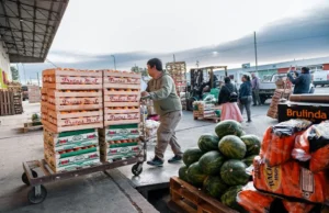 Más tiempo para comprar: el Mercado Concentrador también abrirá los sábados