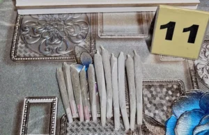 Golpe al narcomenudeo en Confluencia y Vaca Muerta